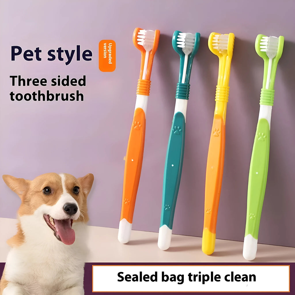 Pet toothbrush with angled handle and soft nylon bristles in multiple colour options for dog and cat dental care