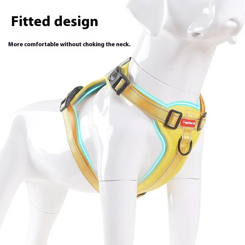 A lake blue dog harness lead with chest strap, adjusted on a medium-sized dog, showing the polyester webbing and leash.