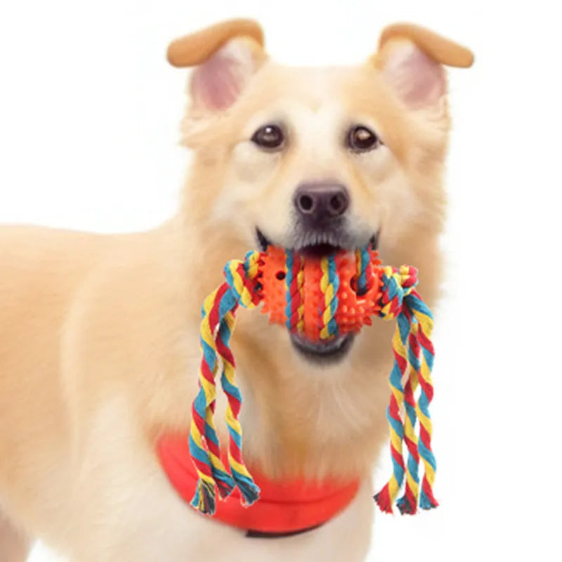 Plastic dog rope bite ball chew toy for molar teeth cleaning in blue orange green yellow grey