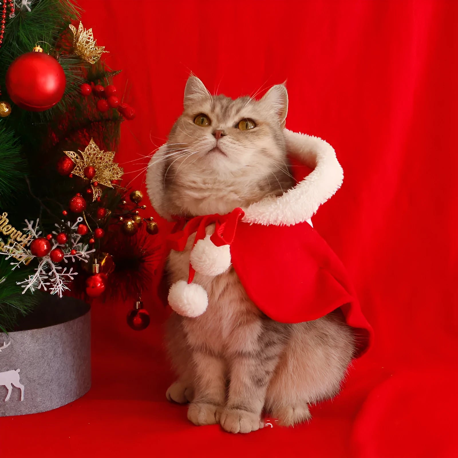 Red polar fleece Christmas cloak with hood and antlers on a dog, showing sizes S M L XL.