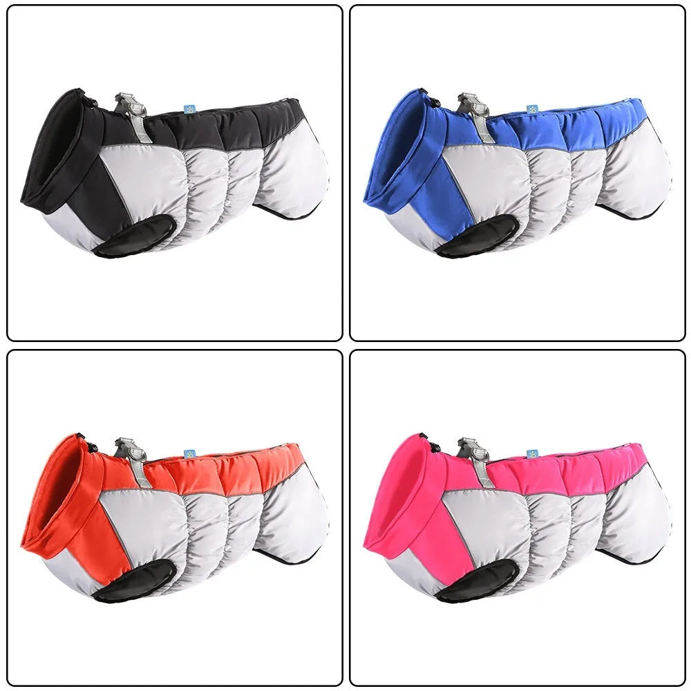 Large dog wearing reflective waterproof winter coat in polar fleece material
