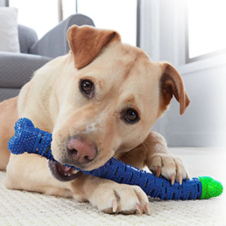 Blue and green silicone dog dental chew toy with serrated brush head and massage nodules.