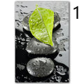 Canvas wall art print of a spa orchid in fashion and simplicity style, available in multiple sizes