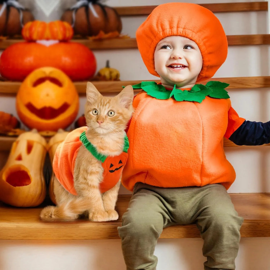 Orange pumpkin plush Halloween costume on small dog with pullover design and thickened shape