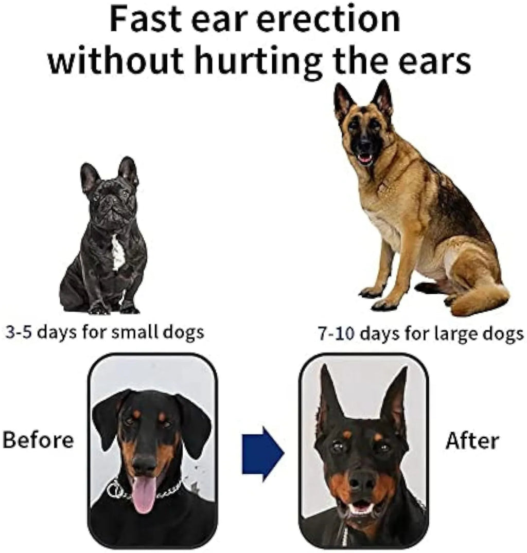 A dog ear support patch sticker shown next to a sizing chart for Doberman, Sheltie, and Corgi puppies.