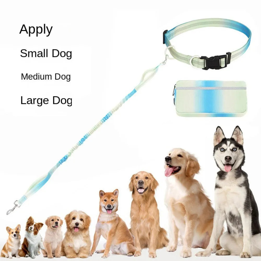 Hands-free adjustable dog leash with waist belt and reflective traction rope