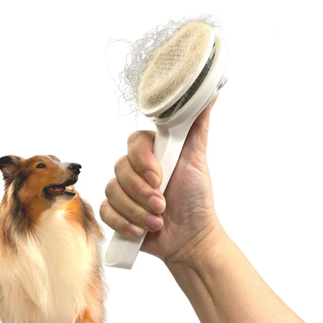Self-cleaning pet grooming brush with ergonomic handle in blue, grey, or pink