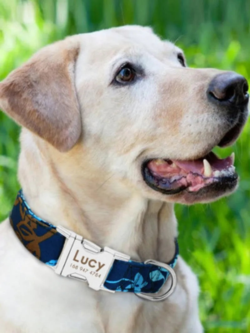 Adjustable dog collar with metal buckle in black, green or rose red