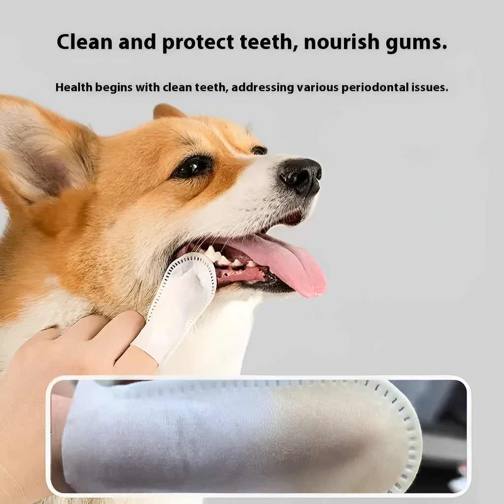 Pack of 50 white non-woven fabric pet dental finger cots for cleaning dog and cat teeth