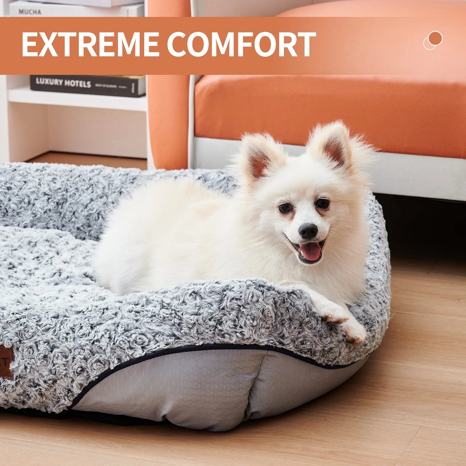 Swirl rose velvet dog bed with removable cushion for small medium dogs, sofa-style design