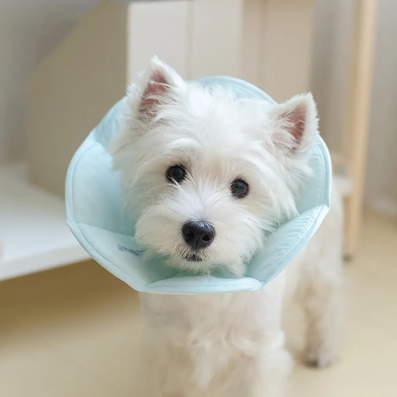Waterproof polyester cat anti-licking recovery collar in Light Strawberry colour on a white background showing soft material