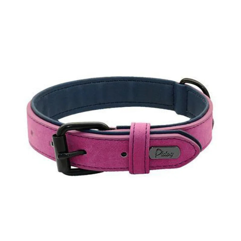 Adjustable dog collar with double-layer thickened construction in purple, blue, green, pink, or brown