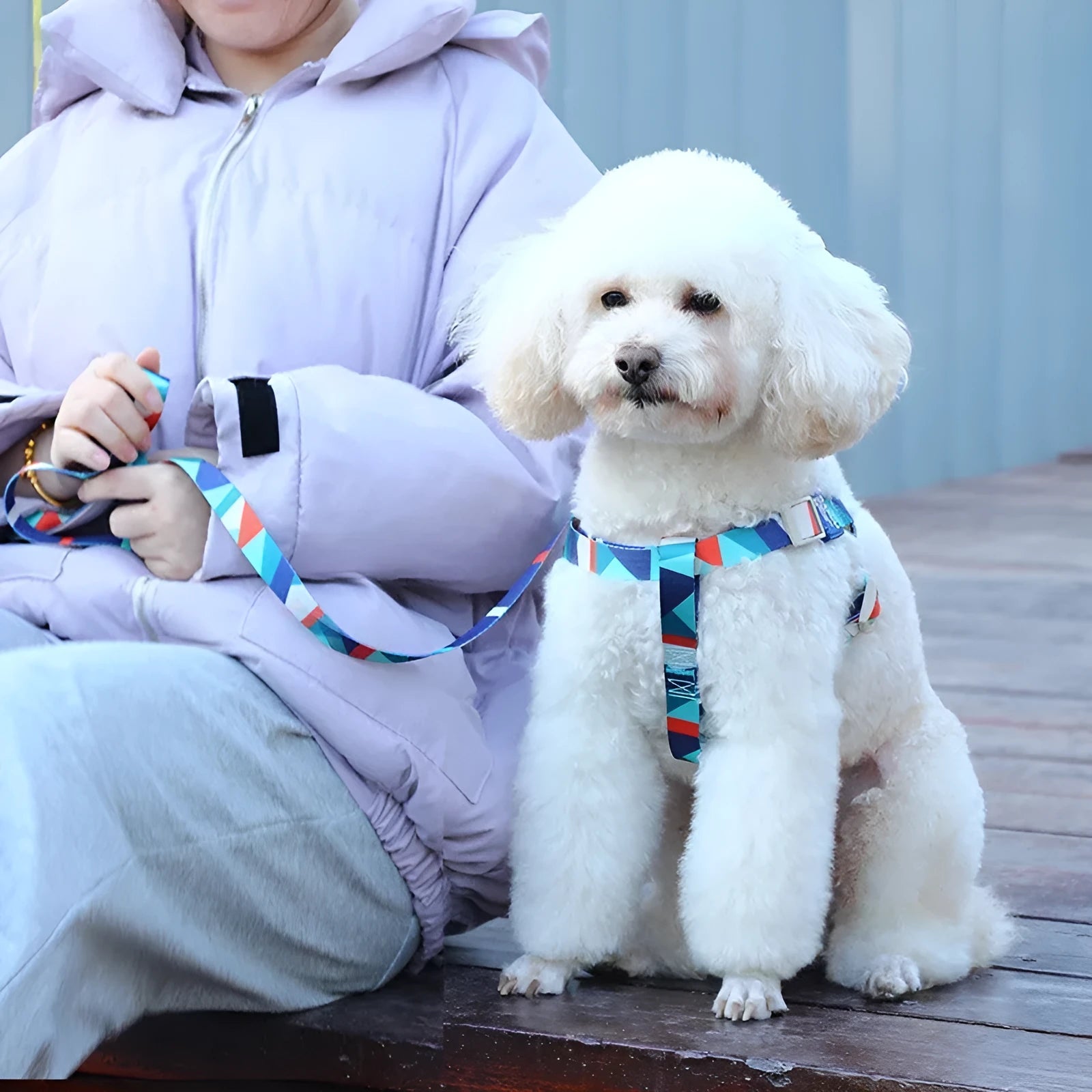 Polyester dog walking vest with haulage rope in blue, green, or pink colours for medium and large breed dogs