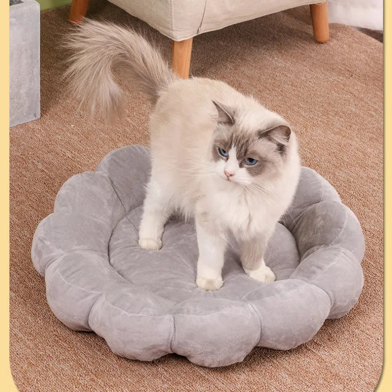 50x50cm half-surrounded pet bed in plush fabric showing blue colour option