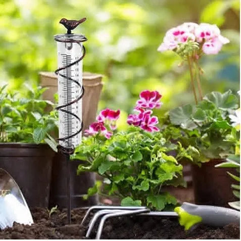 Cast iron hummingbird-shaped rain gauge with glass measurement tube showing 0-800ml capacity scale