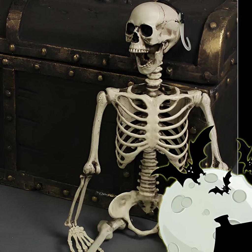 170 cm tall realistic plastic skeleton prop with detailed skull and bones