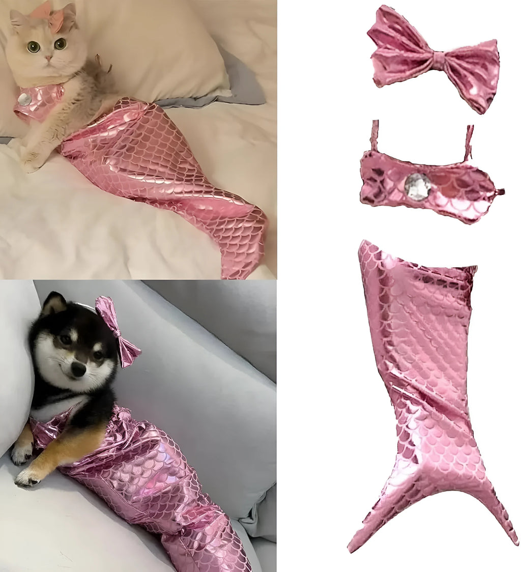 Blue pet mermaid costume with scale pattern fishtail on a small cat