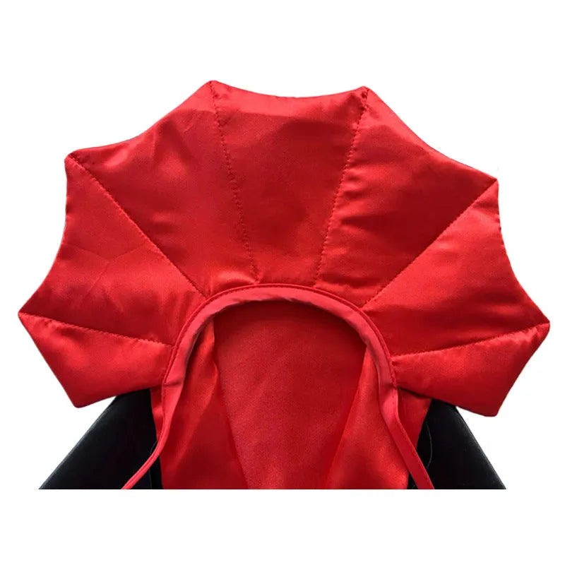 Halloween pet costume with bat-wing cloak and pointed hat on small dog