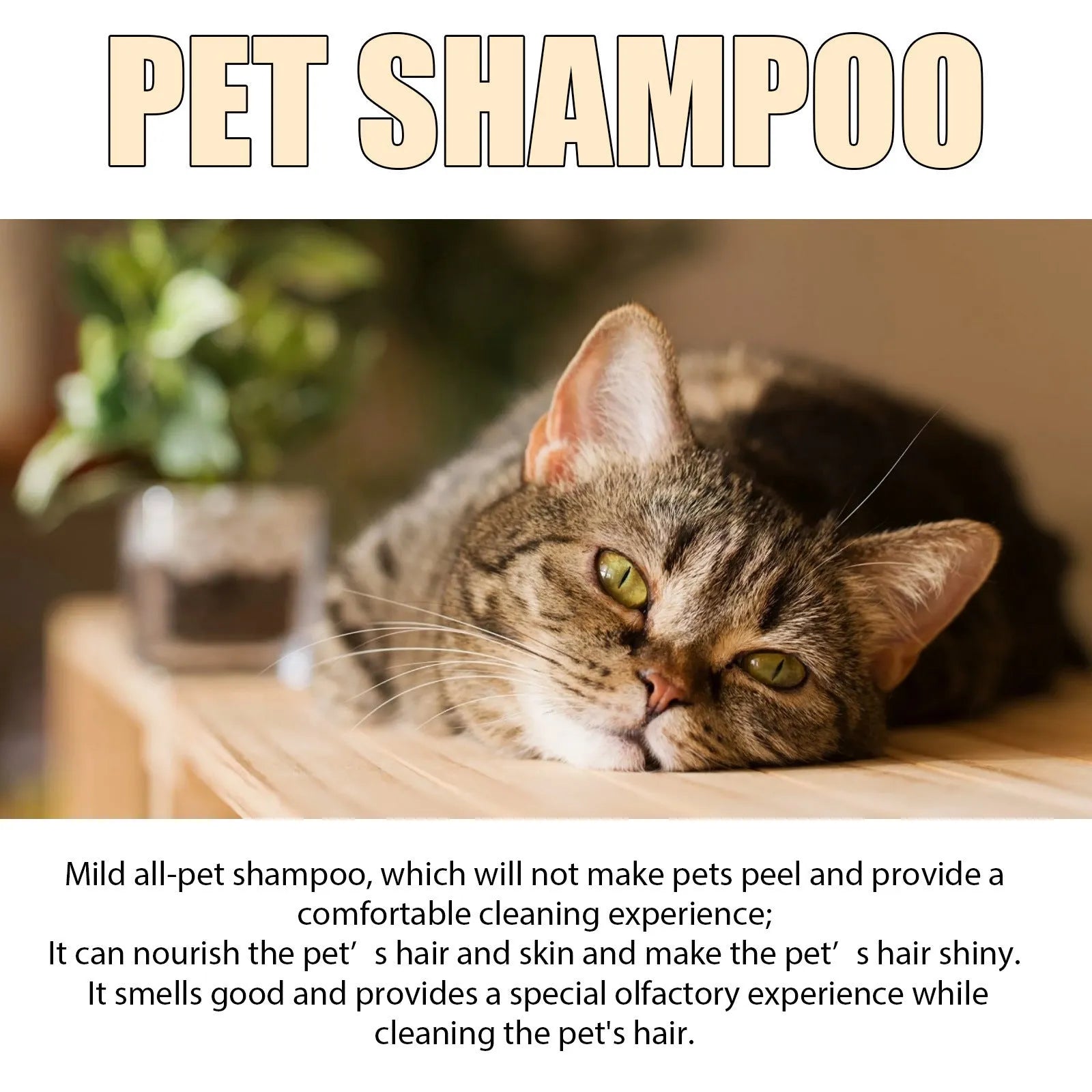 Mild pet shampoo bottle for cats and dogs in 100ml or 300ml sizes