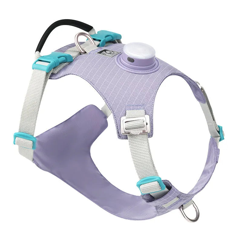 LED dog chest harness with night light in six colour options on adjustable nylon straps