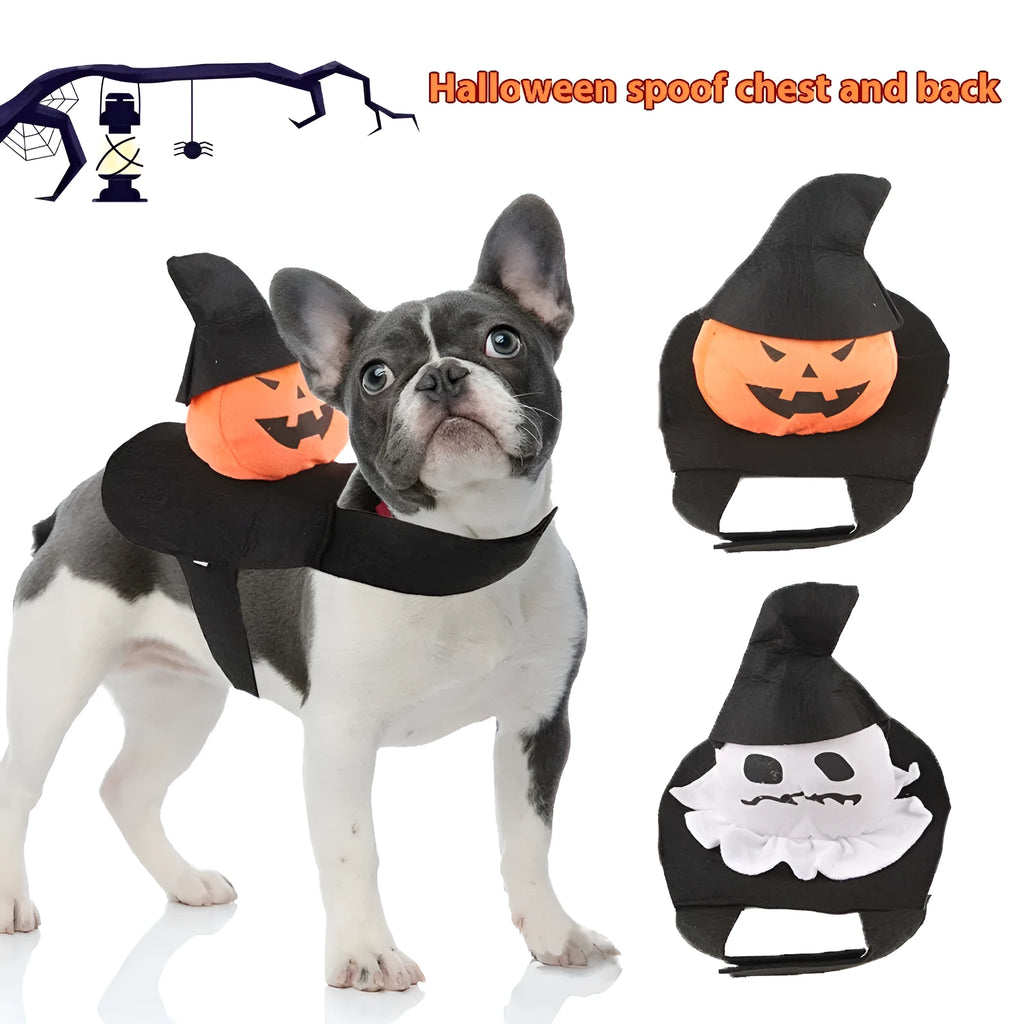Dog wearing a PP cotton Halloween costume in a ghost or pumpkin ghost design.