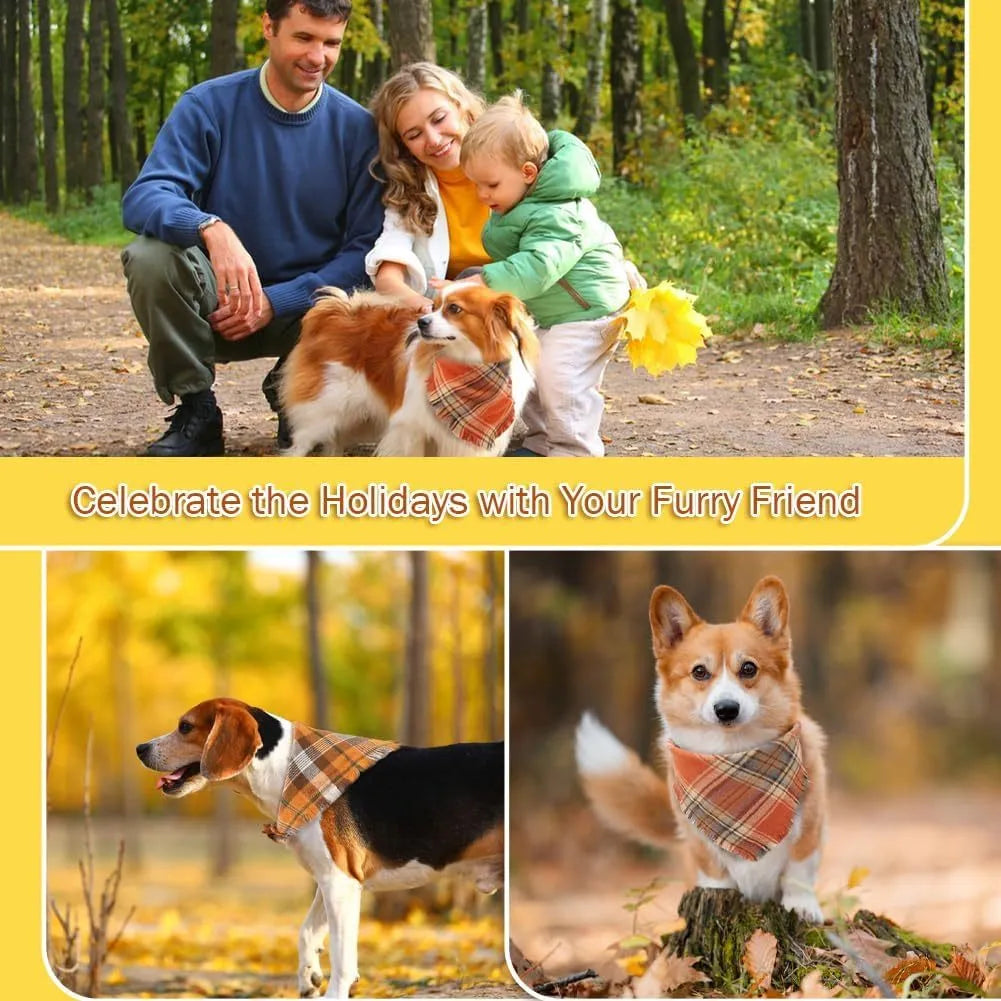 Plaid triangle dog bandana with tassels in autumn colours like orange and brown