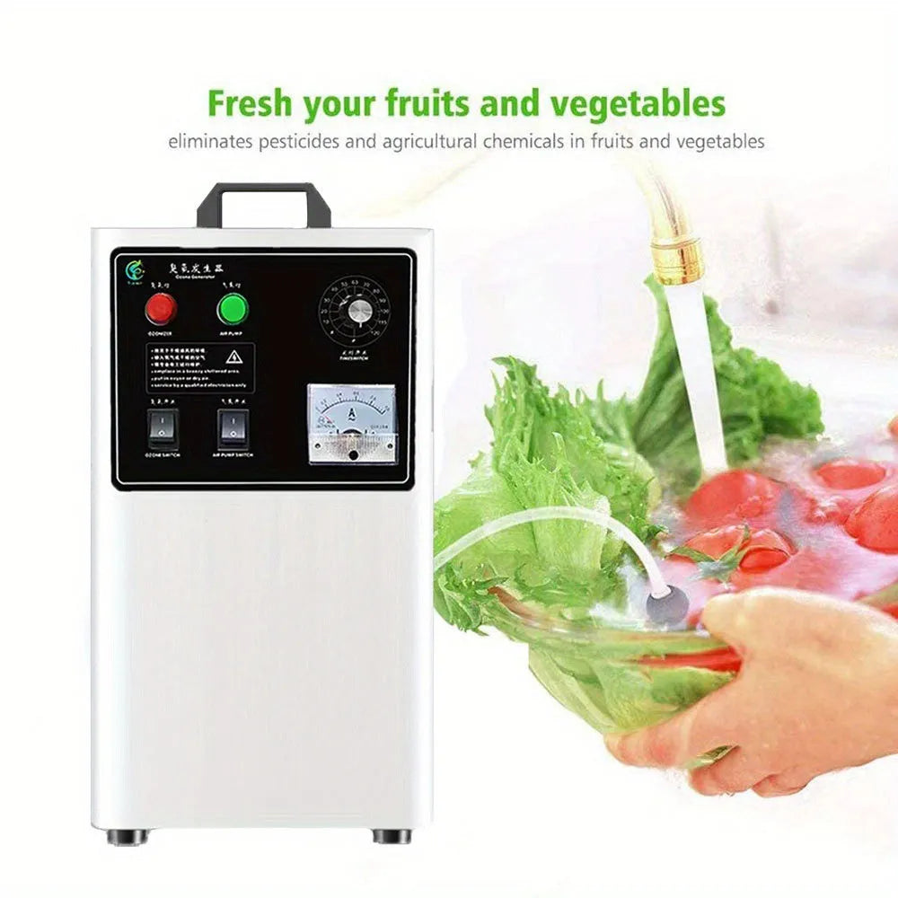 Portable ozone generator for treating fruits and vegetables, in white or stainless steel finish, with 20g per hour output.