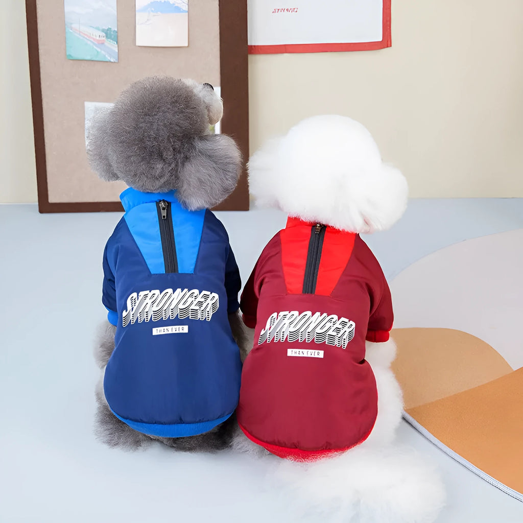 Red and blue V-shaped splicing dog coat on a mannequin showing size range XS to 3L