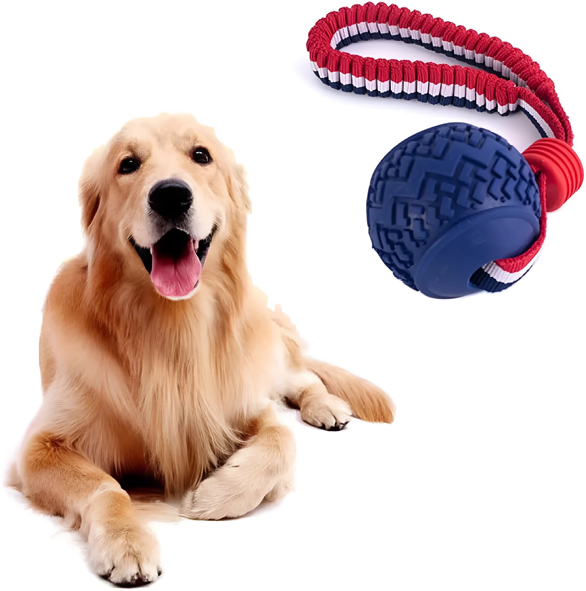 Blue rubber dog ball attached to a rope, a tug and fetch toy for small dogs.