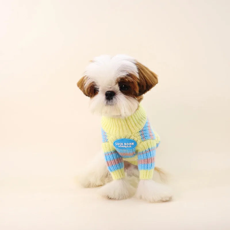 Blue and yellow striped wool dog sweater for small breeds showing size options from XS to XXL
