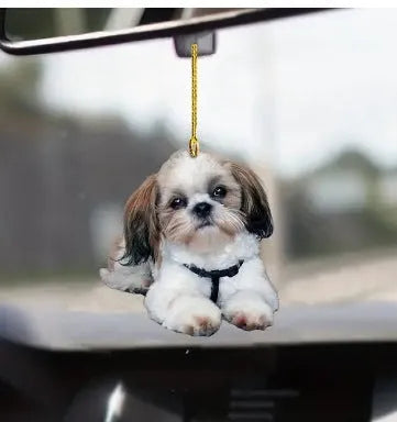 Transparent acrylic car pendant with colourful cartoon design for interior decoration