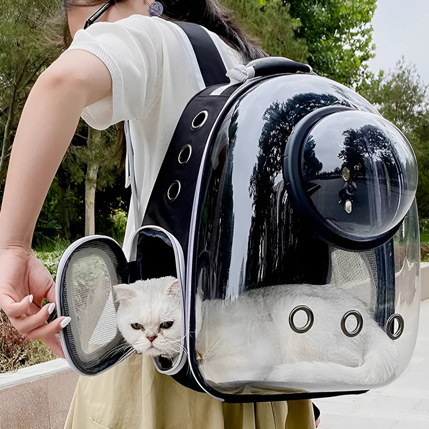 Transparent skylight pet cat bag in black colour, PC material, large capacity for travel use