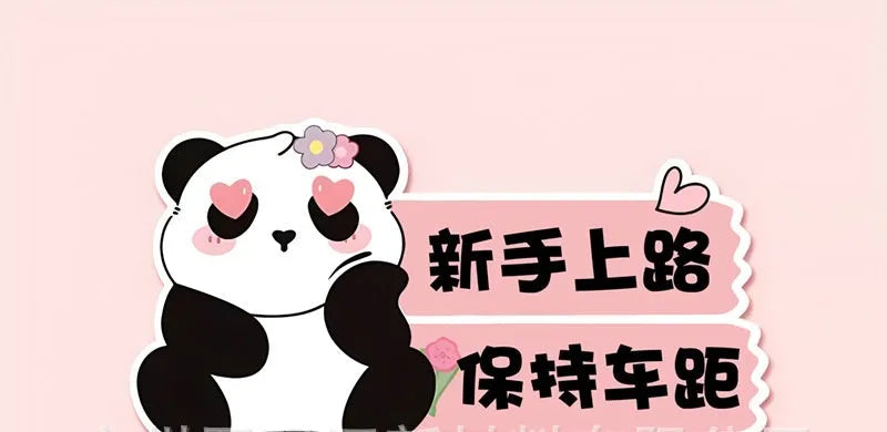 Reflective beginner driver car sticker with bear design for female motorists measuring 23 by 12 centimetres