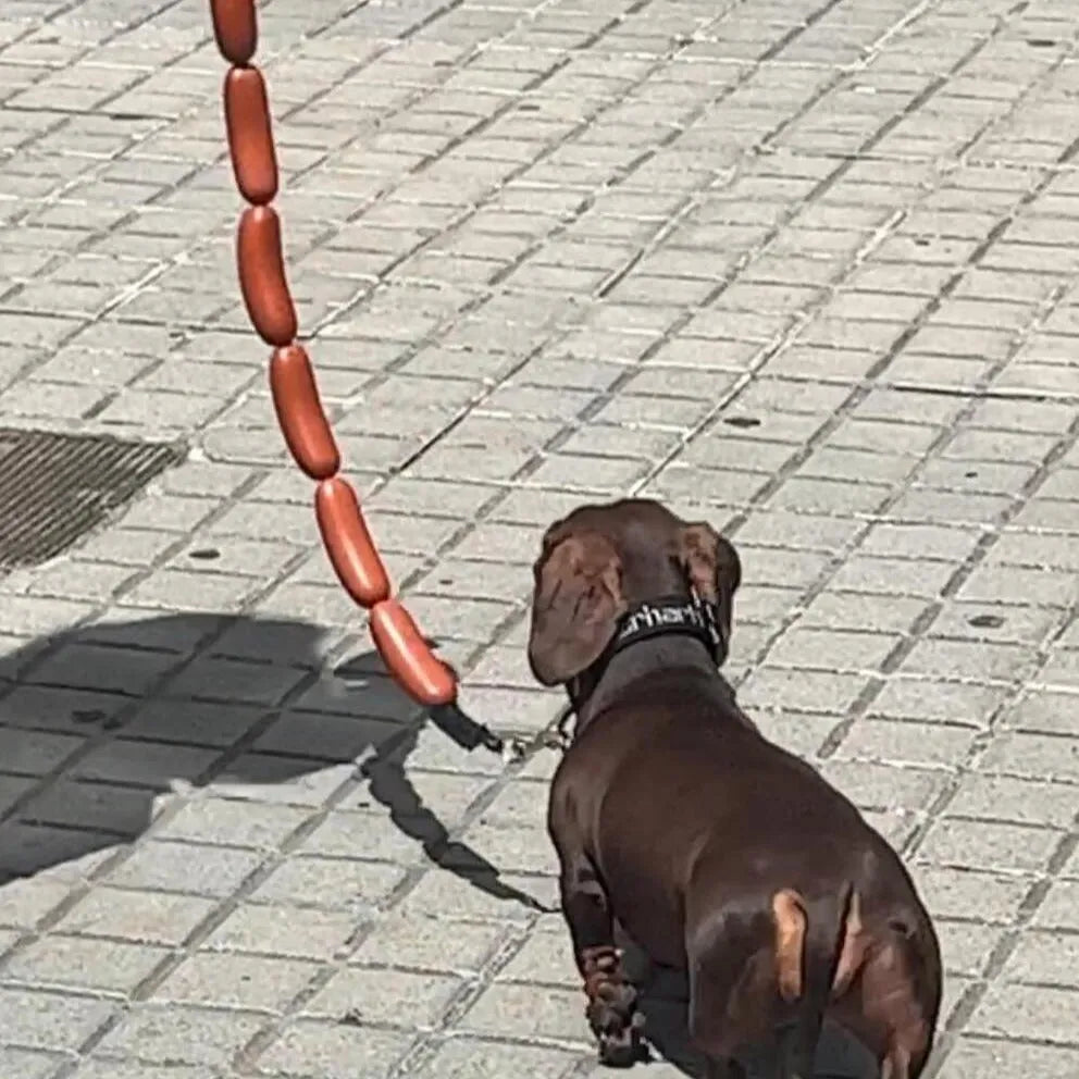 Brown sausage-design hand holding rope for cats, total length 108cm with grip tape