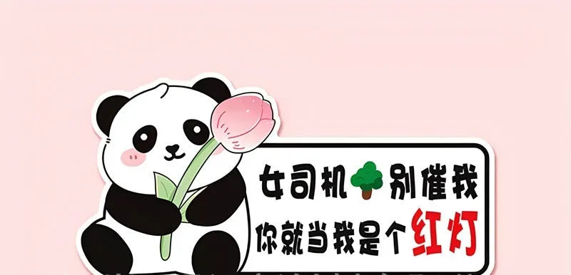 Reflective beginner driver car sticker with bear design for female motorists measuring 23 by 12 centimetres