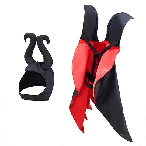 Halloween pet costume with bat-wing cloak and pointed hat on small dog