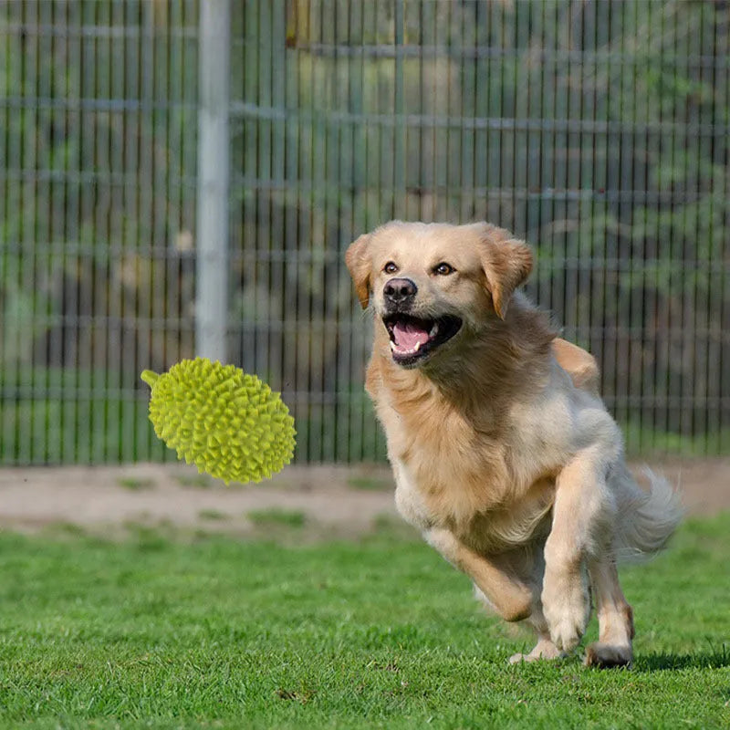 Colourful durian-shaped dog chew toy with textured surface and a squeaky ball