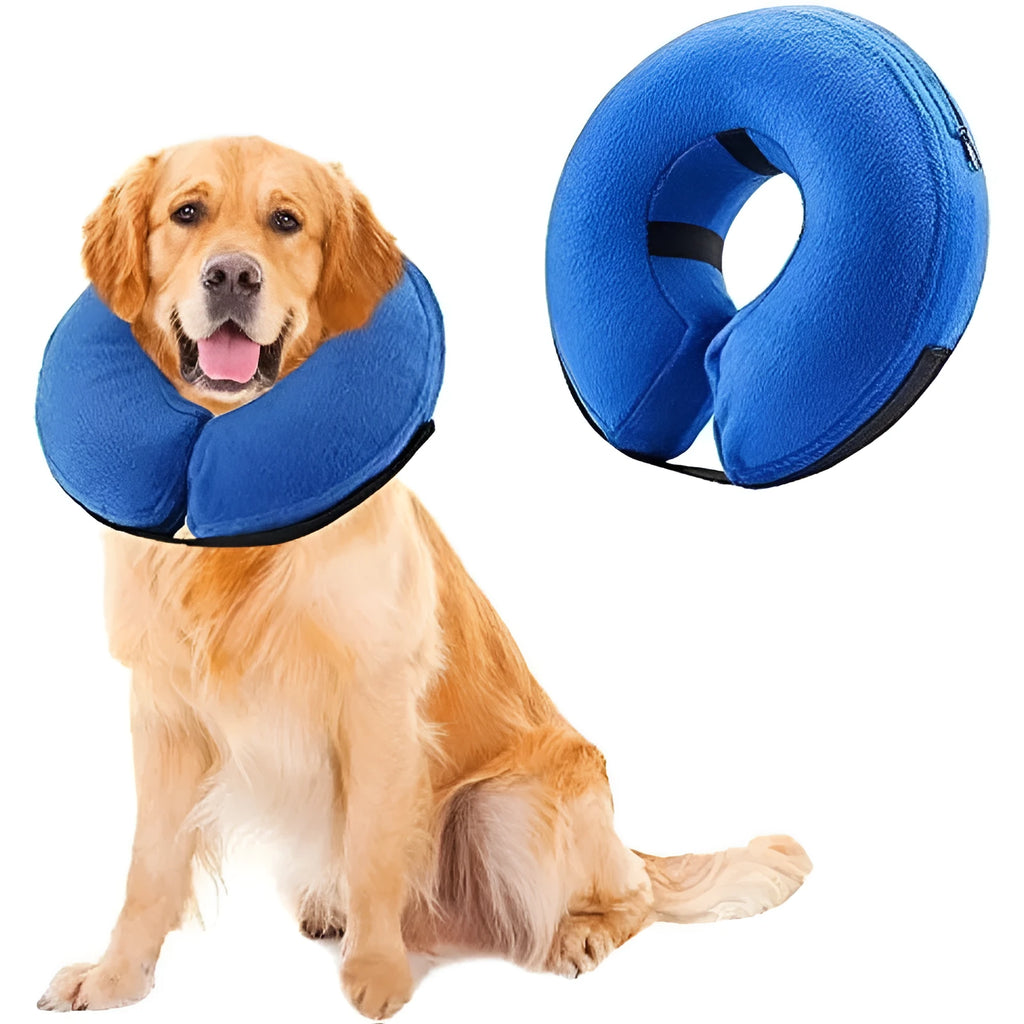 Blue inflatable recovery collar for dogs and cats with size chart showing measurements