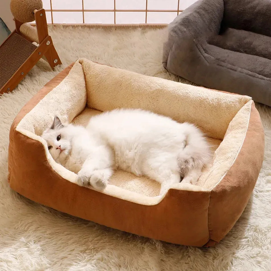 Soft grey short plush cat bed for a sleeping kitten
