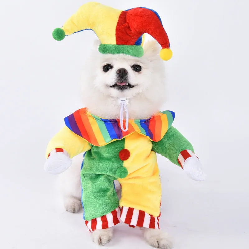 Halloween dog costume with bat wings, devil, pumpkin and scissor hand design options