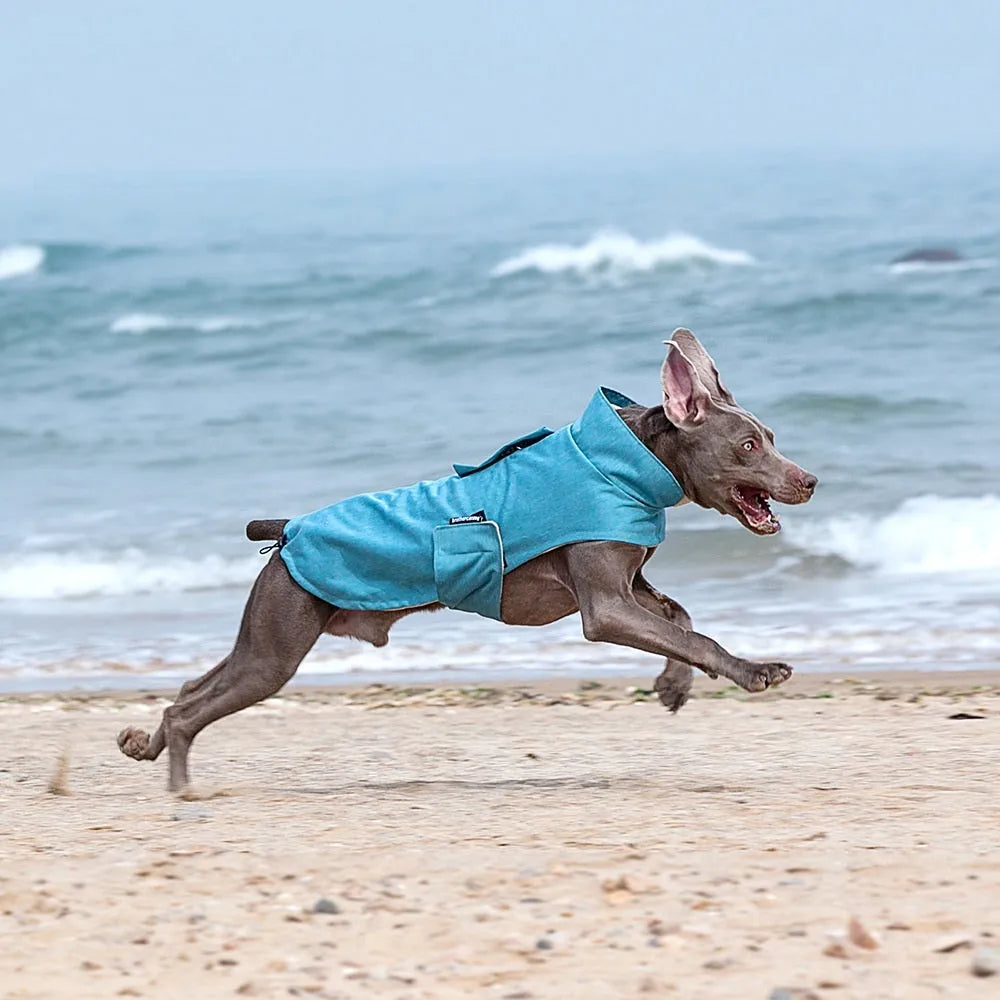 Medium large dog wearing polyester vest in rose red, light blue, or grey colour