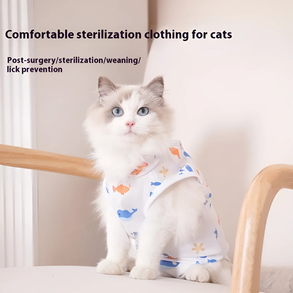 Cat wearing a printed polyester recovery suit with Velcro closures after sterilisation surgery.