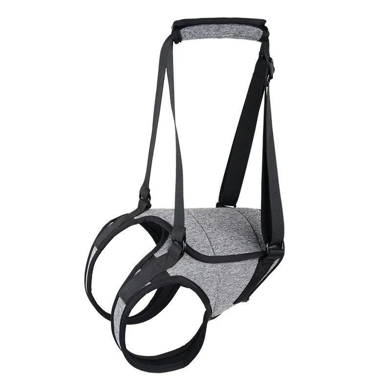 Grey neoprene dog hind leg recovery support belt shown on size chart