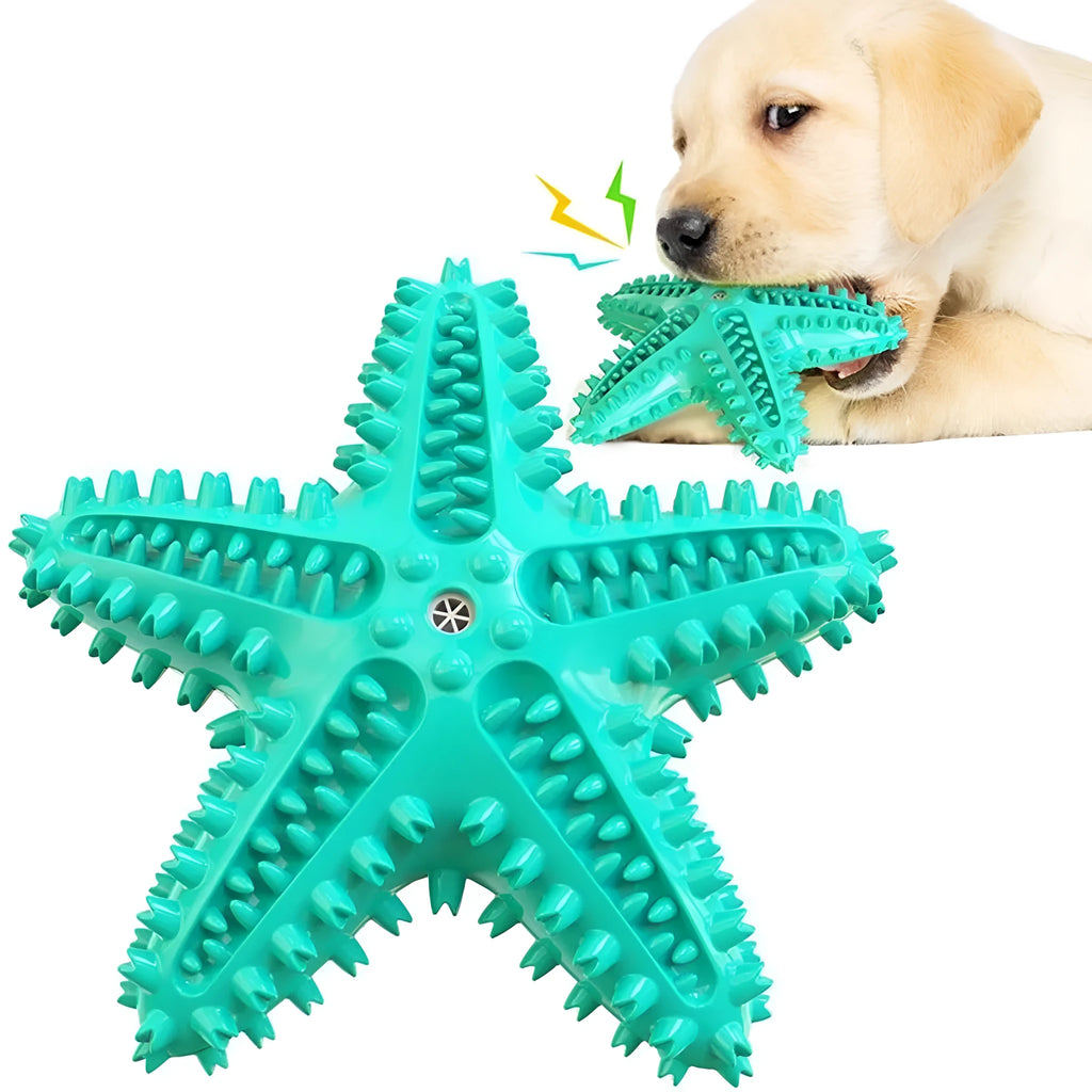 Edible TPR starfish dog toy with squeaker for tooth cleaning in blue, green and yellow colours