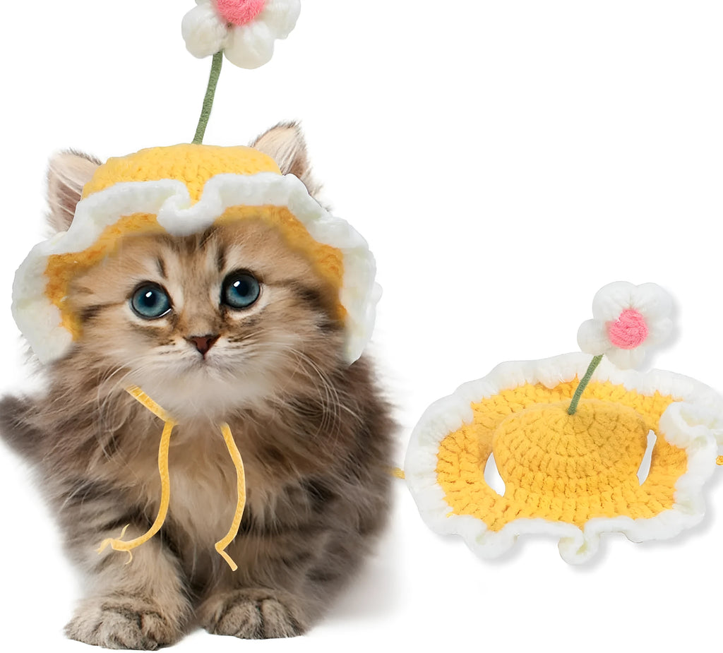 Knitted cat and dog hat in green pink yellow colours with cartoon design for pets