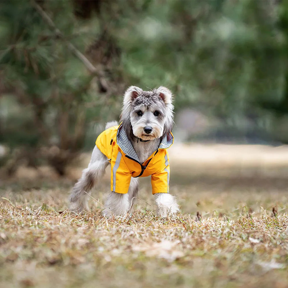 Pet waterproof raincoat in British style, polyester, khaki colour, for small to large dogs