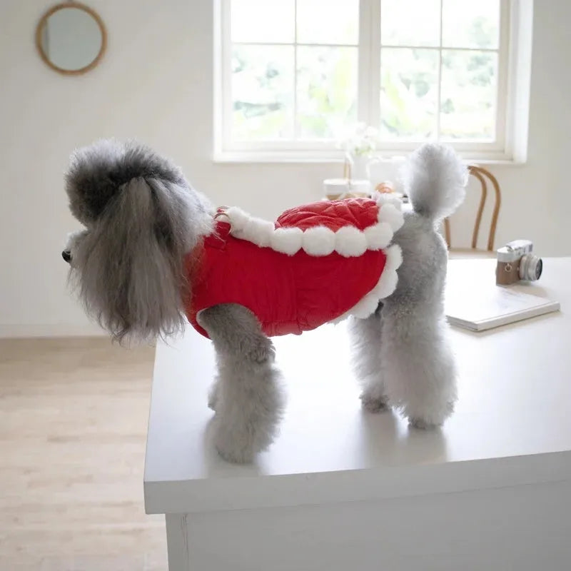 Red Chinese New Year dog clothing with thick cotton collar and traditional knot decoration