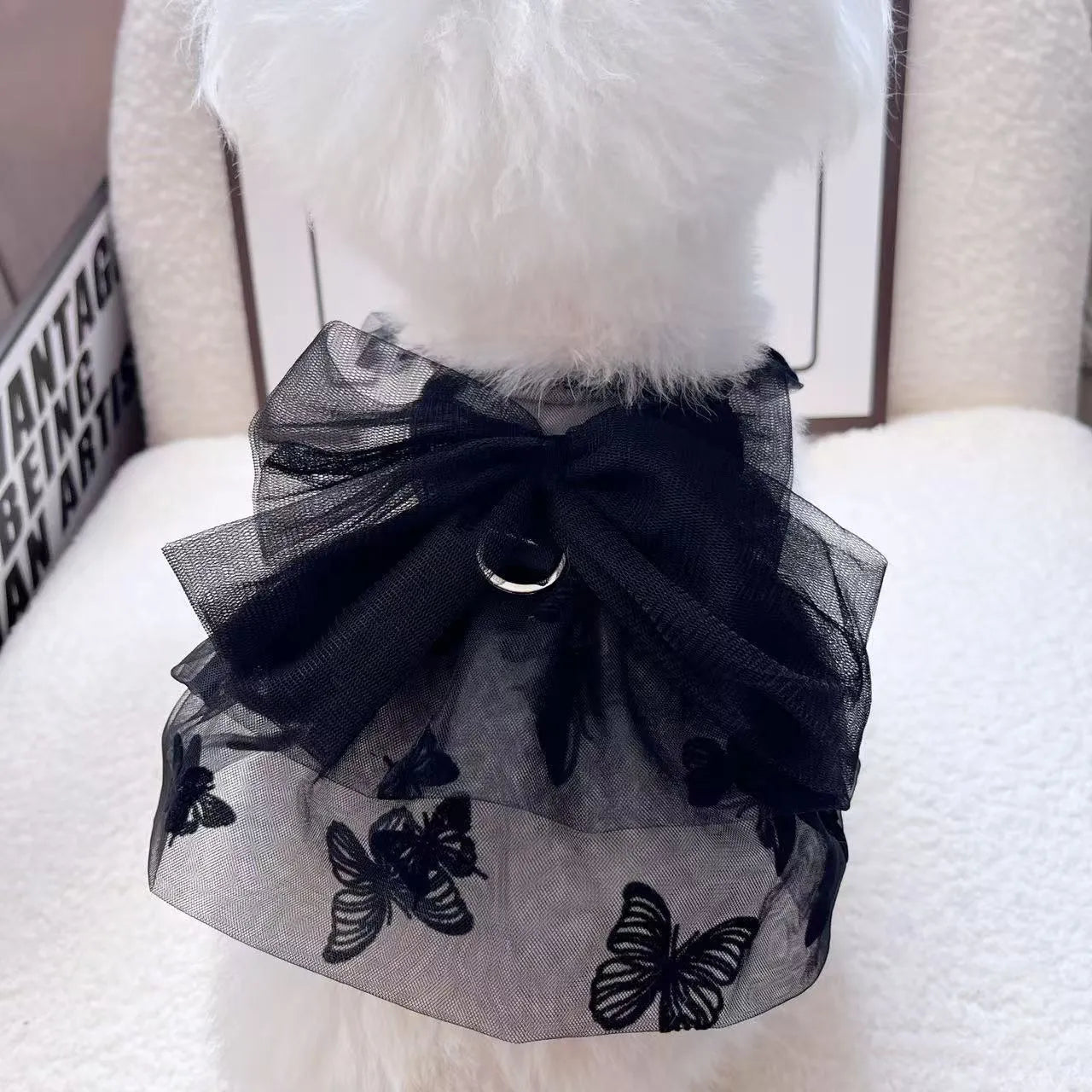 Black layered tulle princess skirt on a small dog, showing the full skirt silhouette and secure fit.