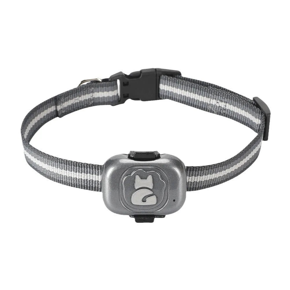 Black pet GPS tracker with hanging rope on a dog collar, showing compact ABS case.
