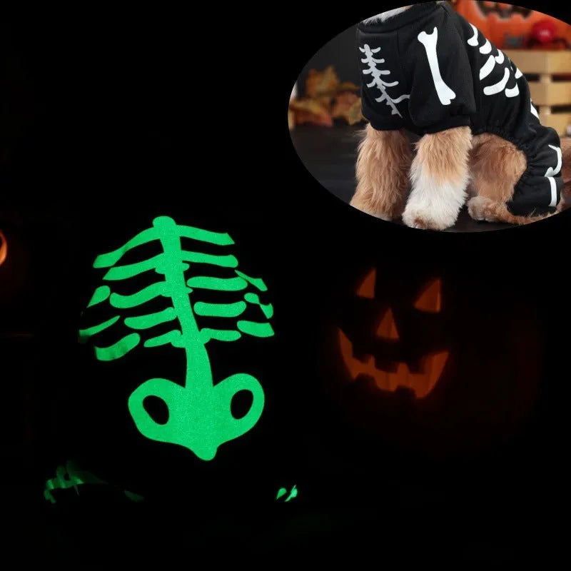 Halloween pet clothing with luminous skull bones design on four-legged dog costume
